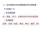 生物与环境的关系（1课时）课件