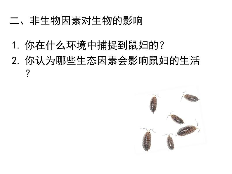 生物与环境的关系（1课时）课件第5页