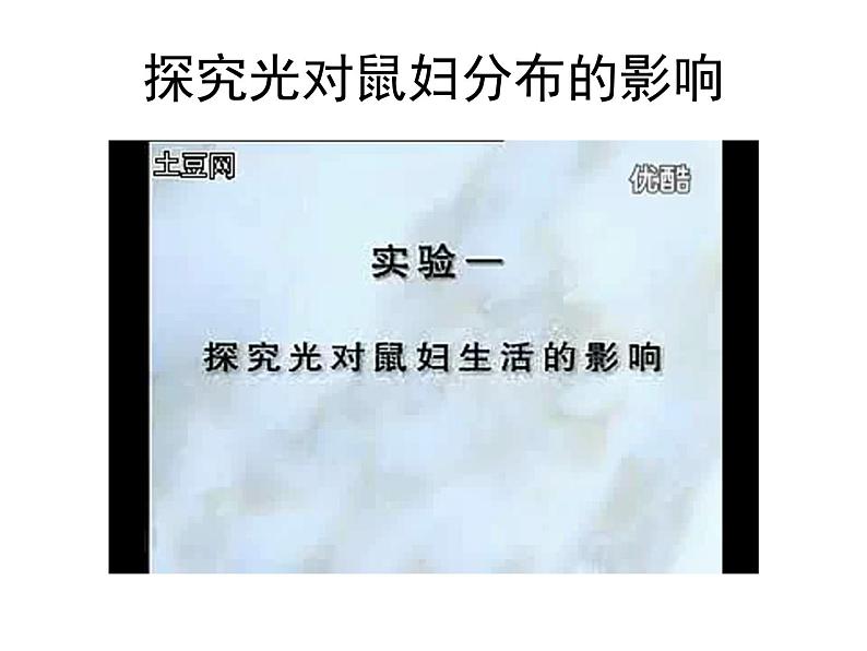 生物与环境的关系（1课时）课件第6页