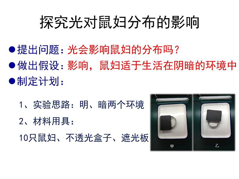 生物与环境的关系（1课时）课件第7页