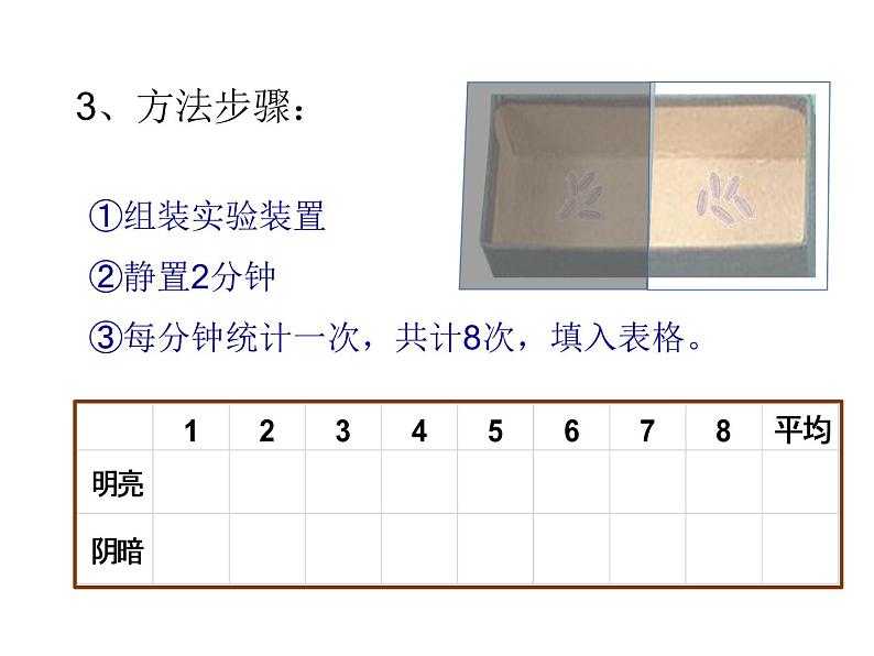 生物与环境的关系（1课时）课件第8页