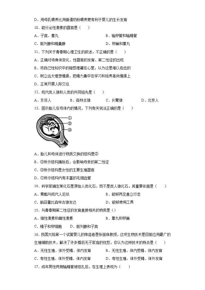 第1章 人的由来（测试卷）-七年级生物下册章末知识总结+检测卷（人教版）（试卷）02