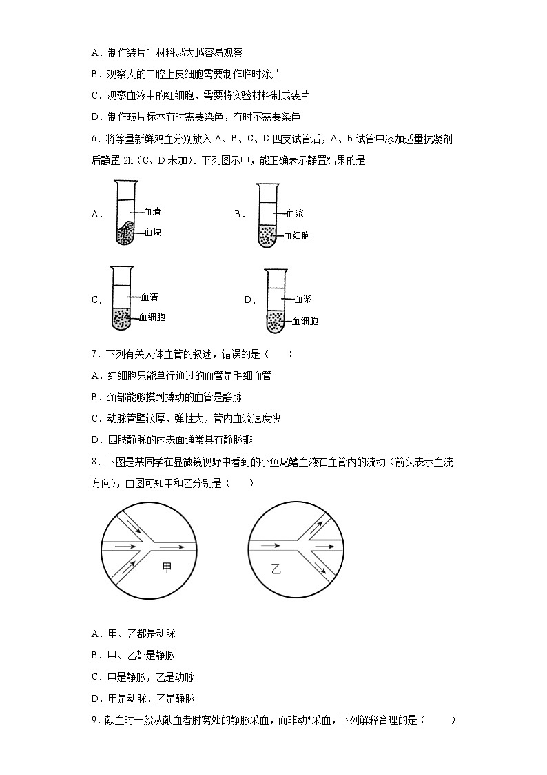 第4章 人体内的物质运输（测试卷）-七年级生物下册章末知识总结+检测卷（人教版）02
