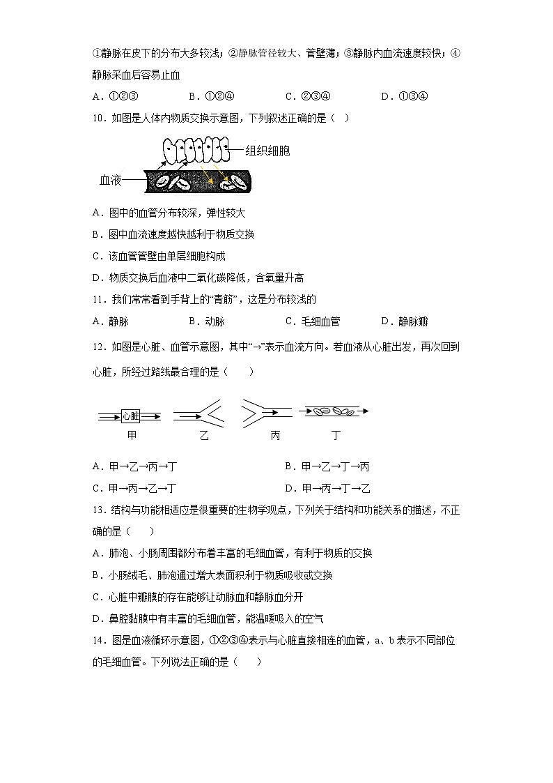 第4章 人体内的物质运输（测试卷）-七年级生物下册章末知识总结+检测卷（人教版）03