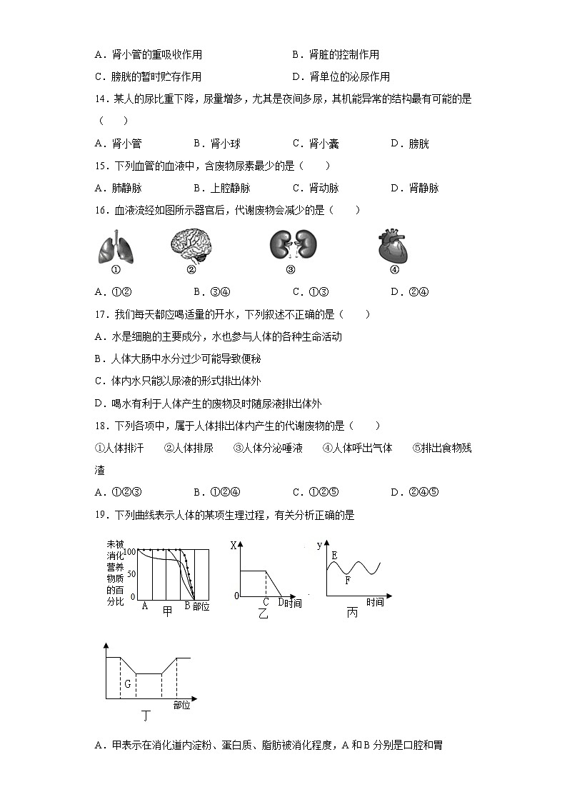 第5章 人体内废物的排出（测试卷）-七年级生物下册章末知识总结+检测卷（人教版）03