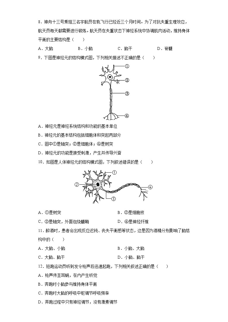 第6、7章 人体生命活动的调节、人类活动对生物圈的影响（测试卷）-七年级生物下册章末知识总结+检测卷（人教版）（试卷）第2页