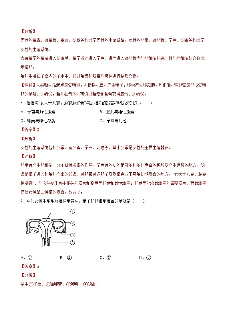 专题01 人的由来【专项训练】-七年级生物下学期期末专项复习（人教版）（答案）第3页