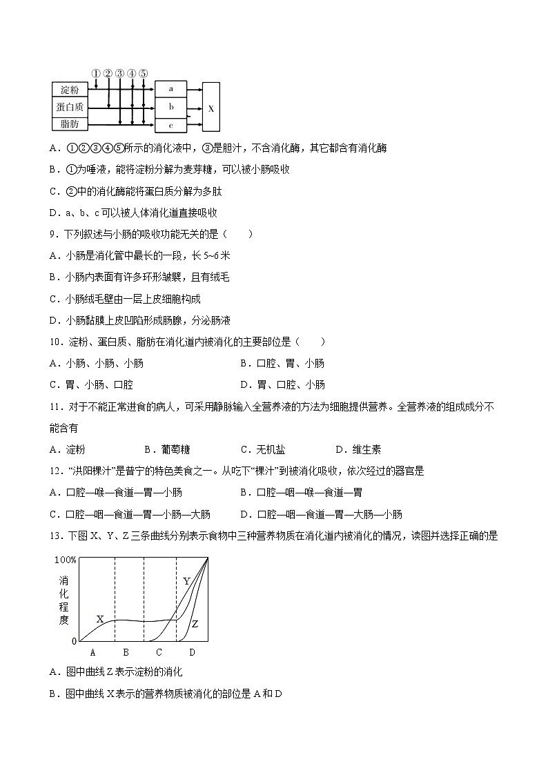 专题02 人体的营养【专项训练】-七年级生物下学期期末专项复习（人教版）（试卷）第2页