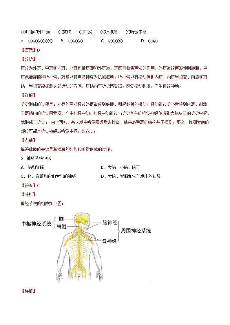 专题06 人体生命活动的调节【专项训练】-七年级生物下学期期末专项复习（人教版）03