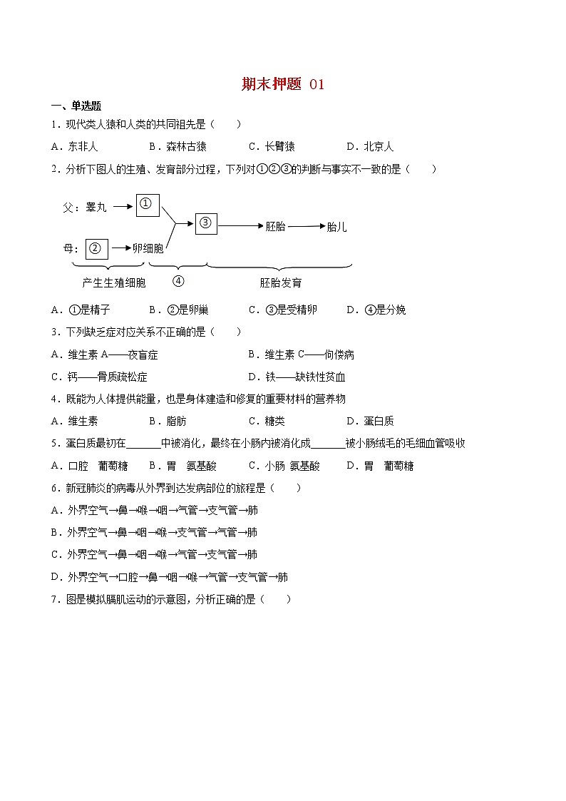 期末押题01-七年级生物下学期期末专项复习（人教版）01
