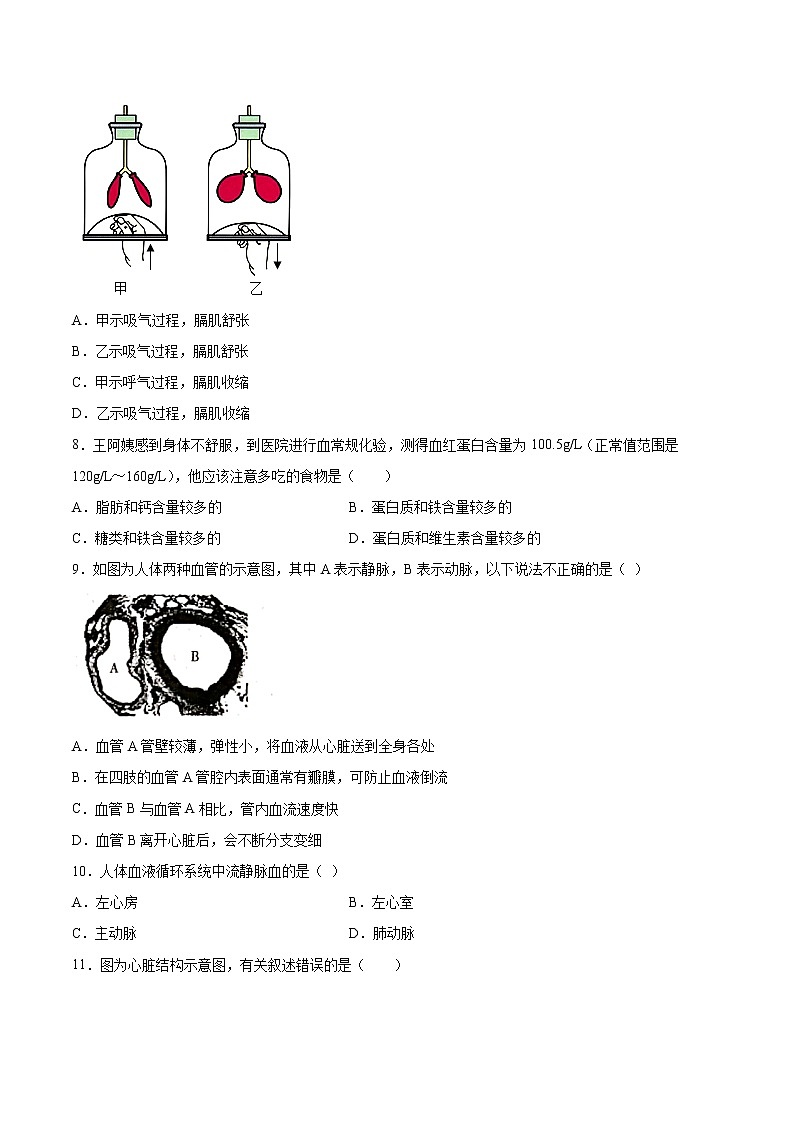 期末押题01-七年级生物下学期期末专项复习（人教版）02