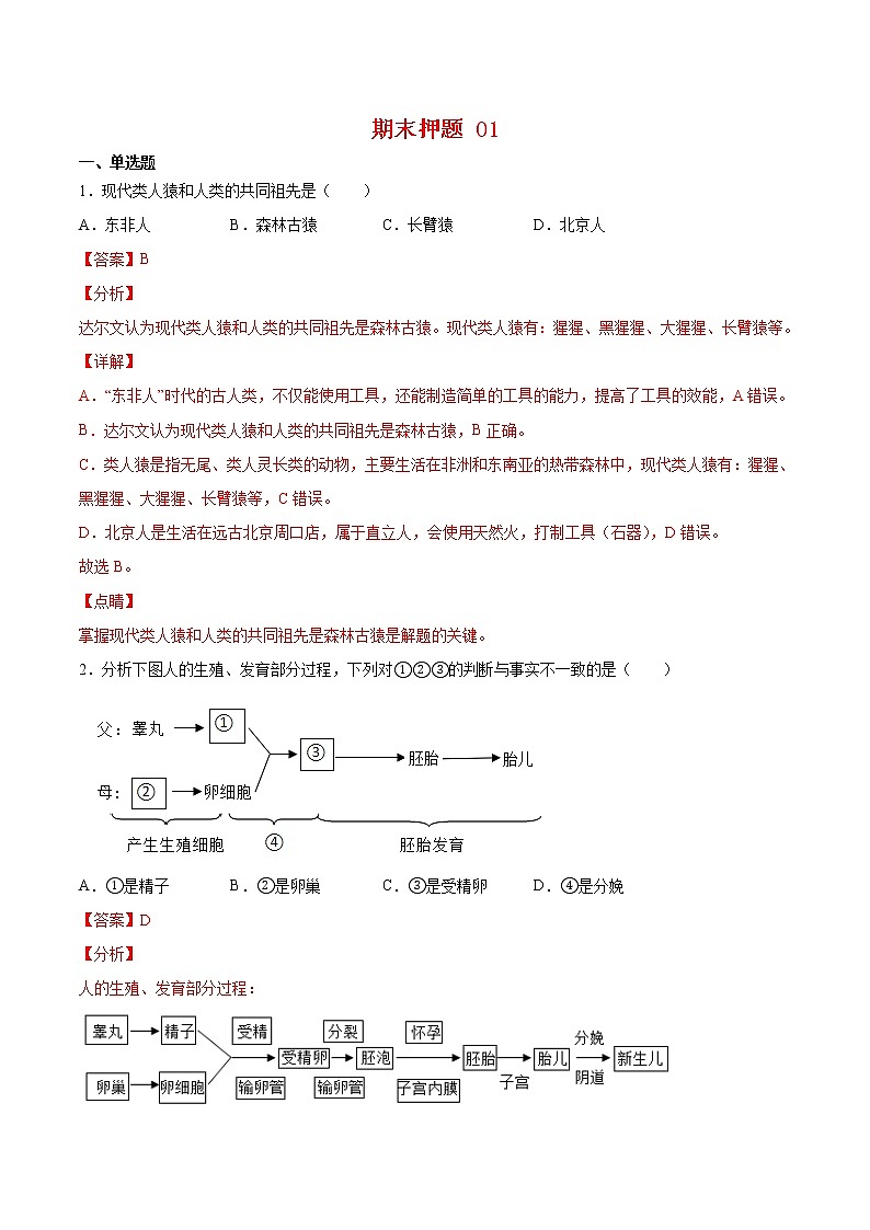 期末押题01-七年级生物下学期期末专项复习（人教版）01