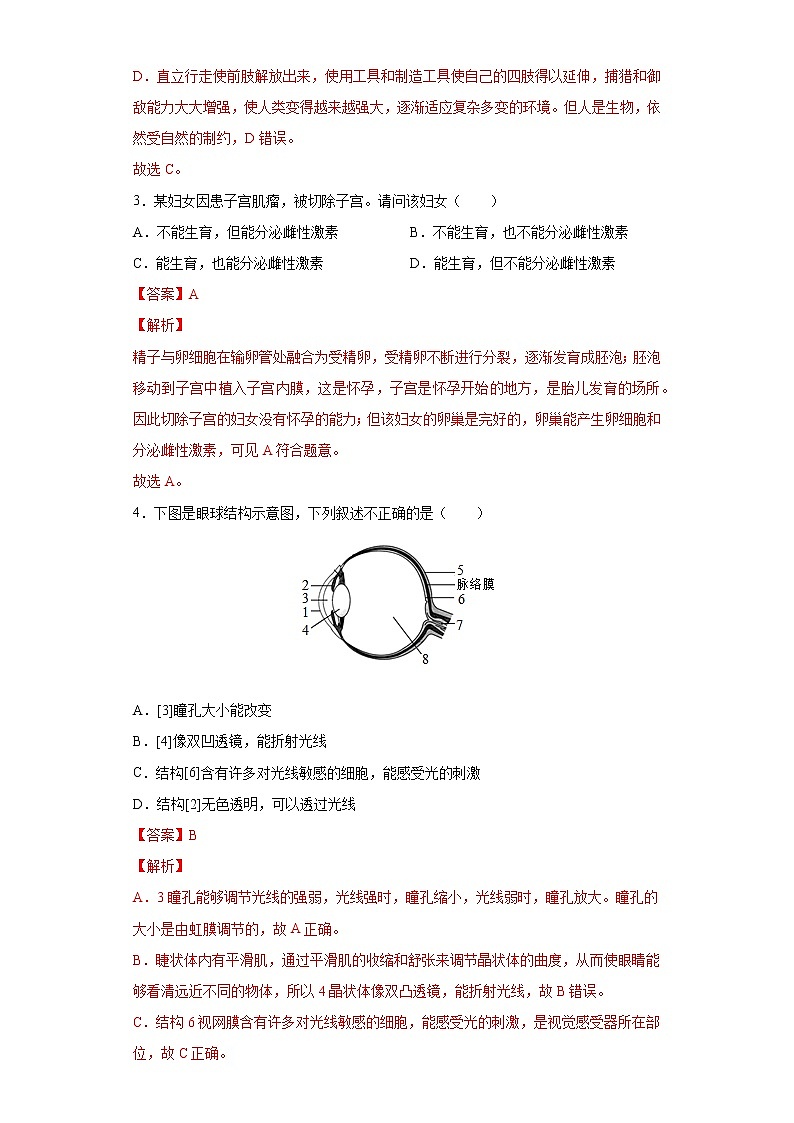 期末测试卷- 七年级生物下册章末知识总结+检测卷（人教版）（试卷）02