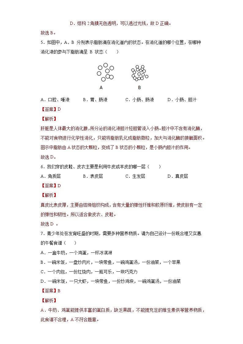 期末测试卷- 七年级生物下册章末知识总结+检测卷（人教版）（试卷）03