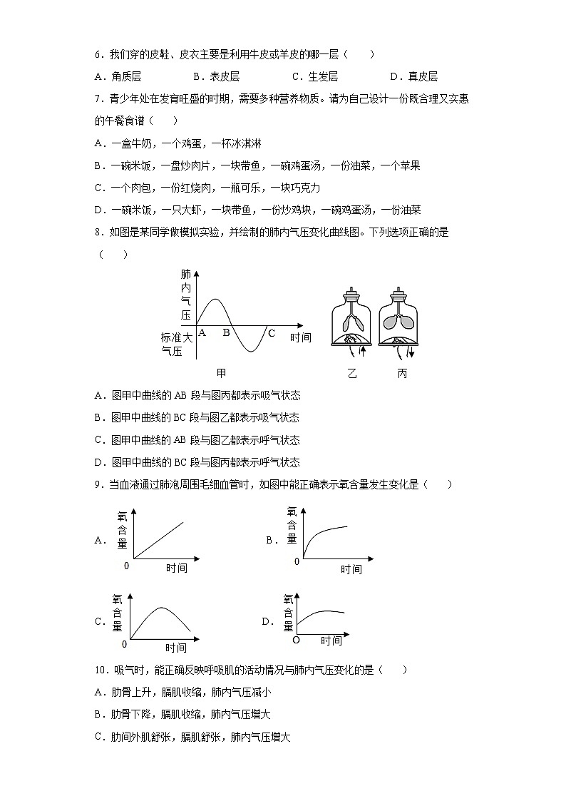 期末测试卷- 七年级生物下册章末知识总结+检测卷（人教版）（试卷）02