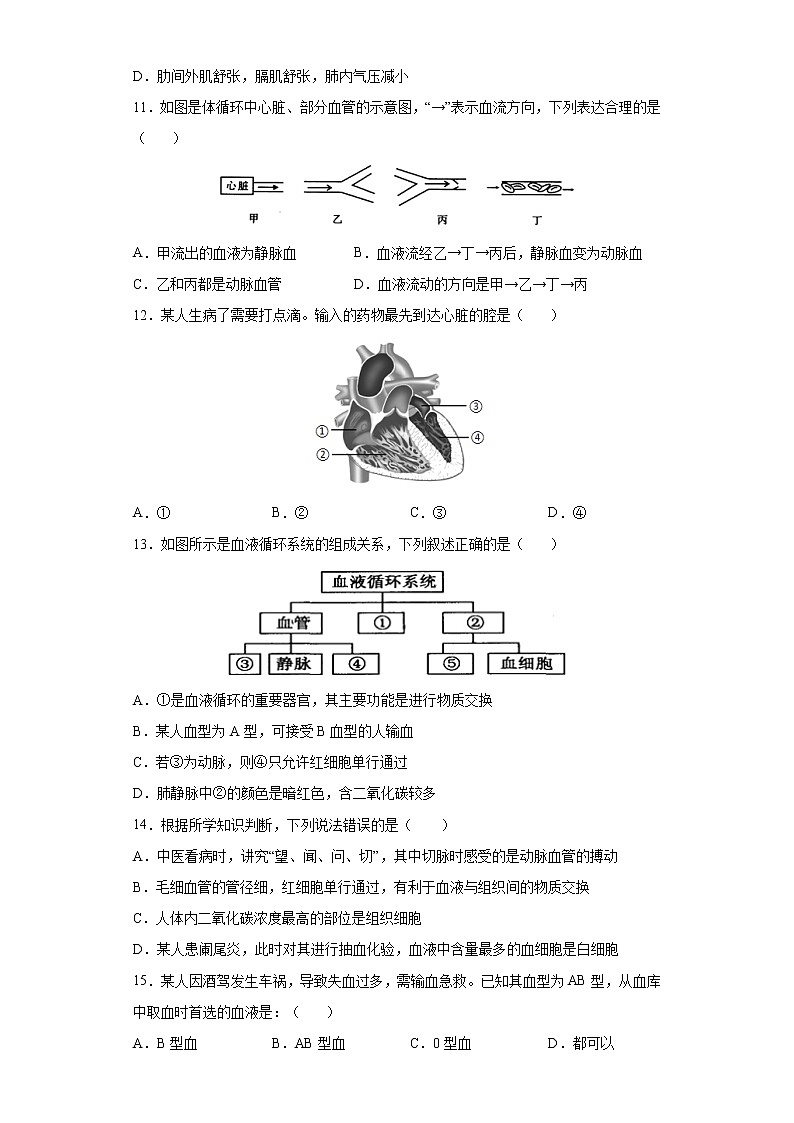 期末测试卷- 七年级生物下册章末知识总结+检测卷（人教版）（试卷）03