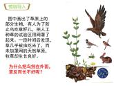 第二节 生物与环境组成生态系统（课件）