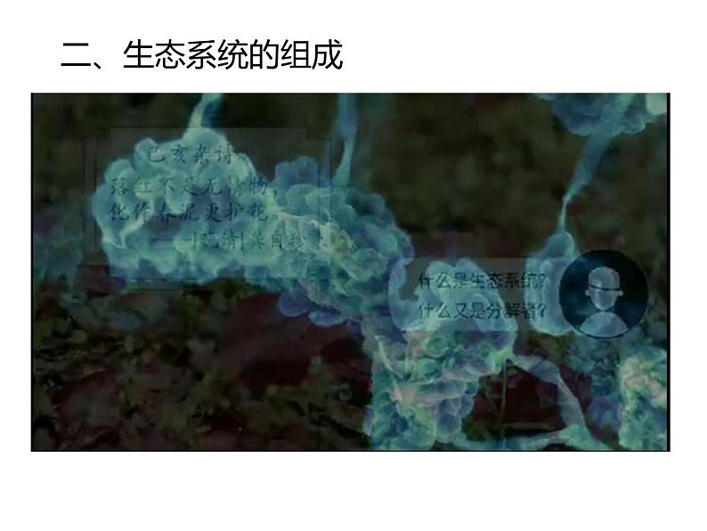 第二节 生物与环境组成生态系统（课件）第5页