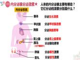 激素调节第1、2课时  (2) 课件