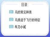 1.6《鸟类》课件+教案