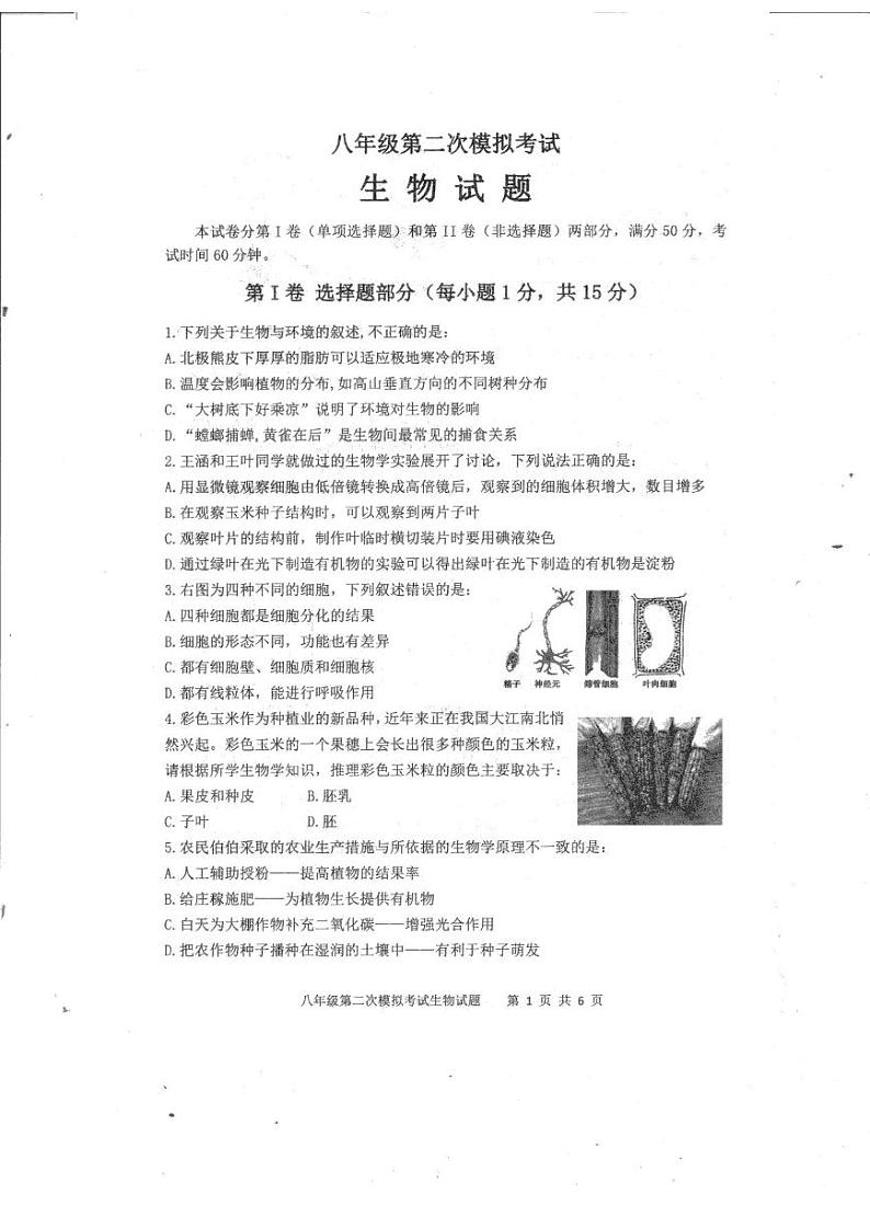 2022年山东省泰安新泰市中考二模生物试题第1页