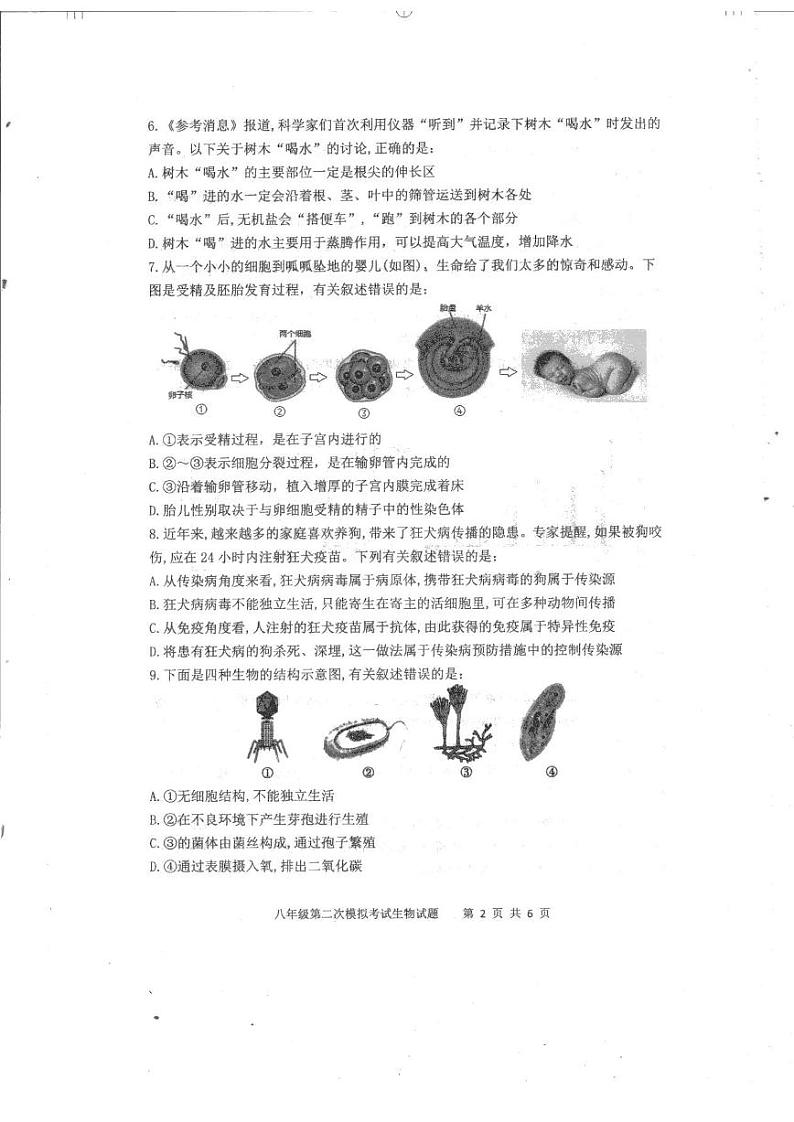 2022年山东省泰安新泰市中考二模生物试题第2页