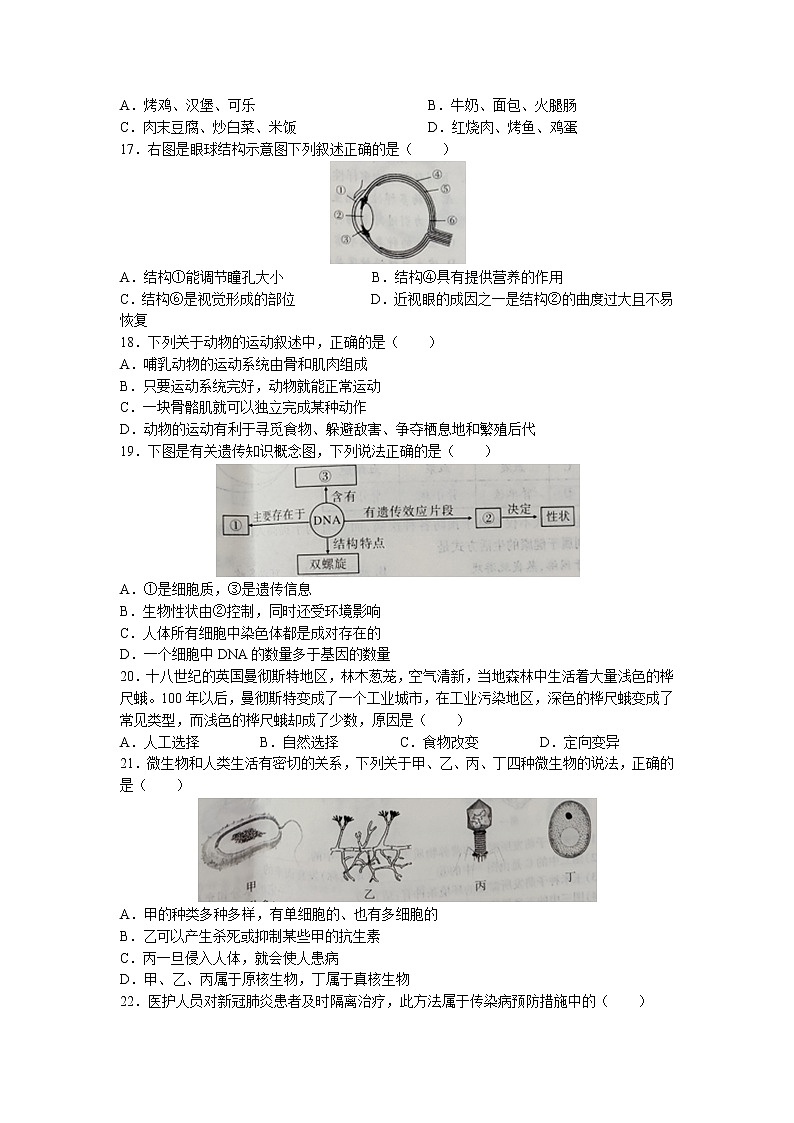2022年湖南省邵阳市中考真题生物卷无答案（文字版）第3页