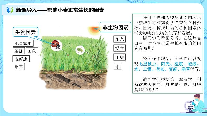 1.2.1《生物与环境的关系》（第一课时）（课件+教案）04