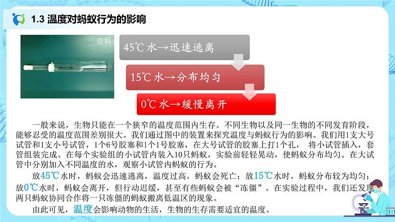 1.2.1《生物与环境的关系》（第一课时）（课件+教案）07