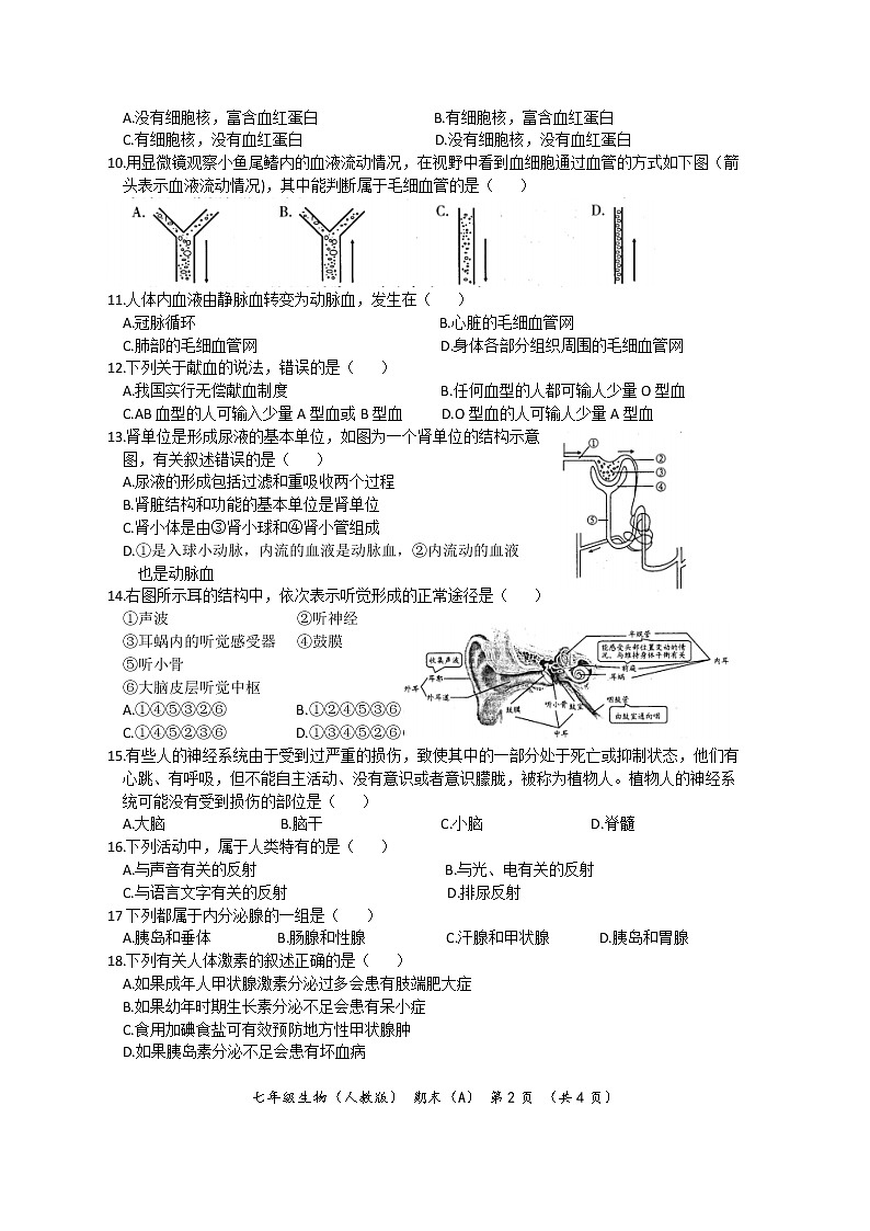 河南省巩营乡二初中2021-2022学年七年级下学期期末生物试题（A）（文字版含答案）02