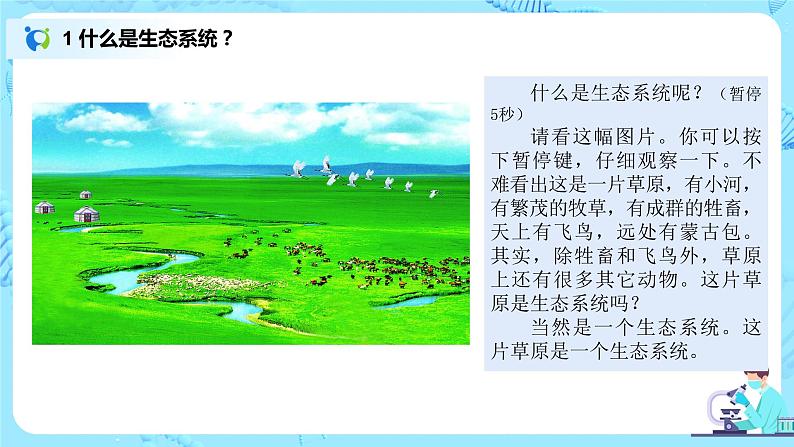 1.2.2《生物与环境组成生态系统》（第一课时）（课件+教案+练习）04