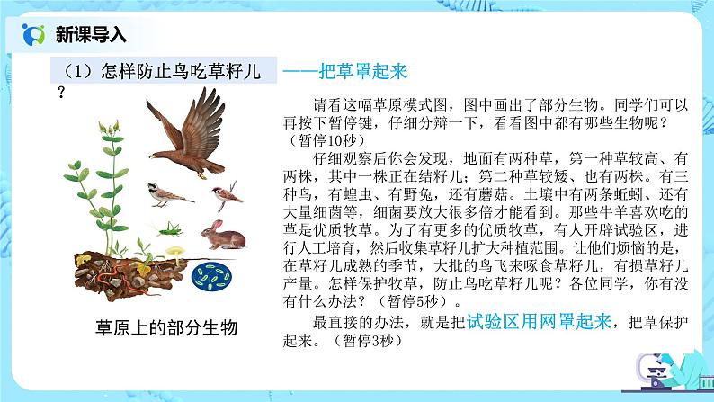 1.2.2《生物与环境组成生态系统》（第一课时）（课件+教案+练习）05