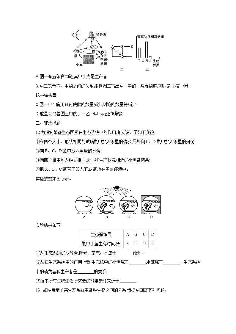 1.2.2《生物与环境组成生态系统》（第二课时）（课件+教案+练习）03