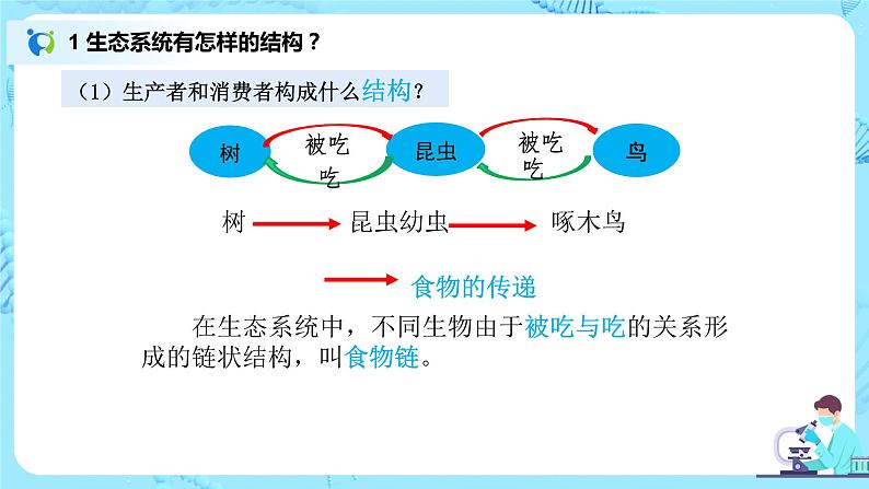 1.2.2《生物与环境组成生态系统》（第二课时）（课件+教案+练习）04