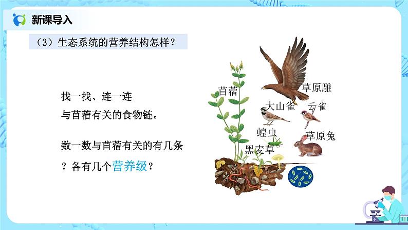 1.2.2《生物与环境组成生态系统》（第二课时）（课件+教案+练习）06