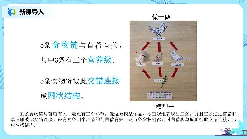 1.2.2《生物与环境组成生态系统》（第二课时）（课件+教案+练习）07