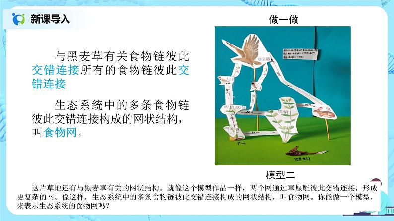 1.2.2《生物与环境组成生态系统》（第二课时）（课件+教案+练习）08