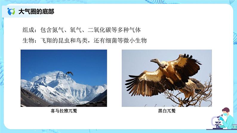 1.2.3《生物圈是最大的生态系统》（课件+教案+练习）05