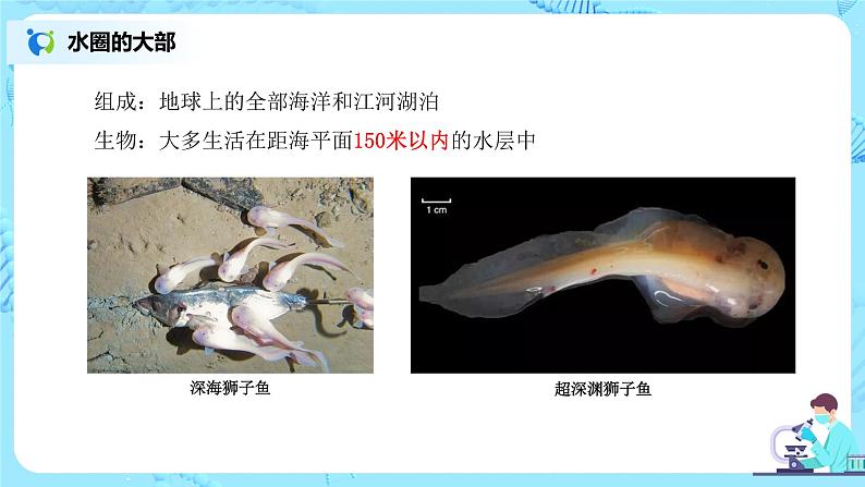 1.2.3《生物圈是最大的生态系统》（课件+教案+练习）06