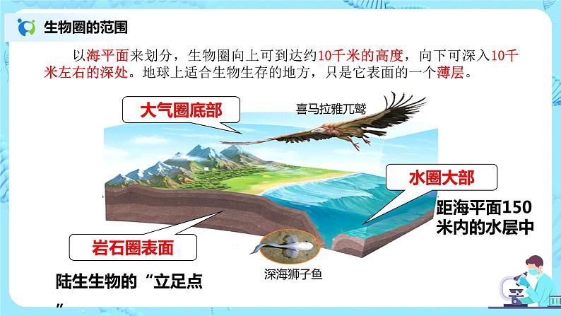 1.2.3《生物圈是最大的生态系统》（课件+教案+练习）08