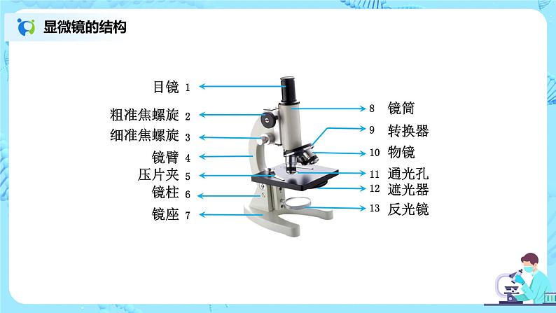 2.1.1《练习使用显微镜》（课件+教案+练习）05