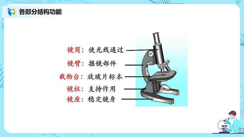 2.1.1《练习使用显微镜》（课件+教案+练习）06