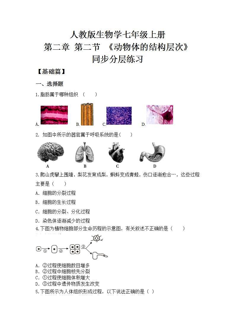 人教版初中生物七年级上册2.2.2《动物体的结构层次》同步分层练习（含答案）第1页