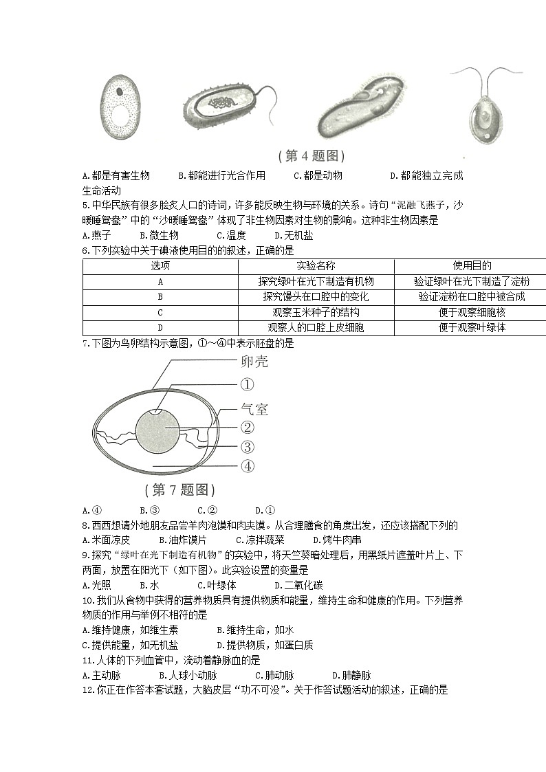 2022年陕西省中考真题生物B卷及答案（文字版）02