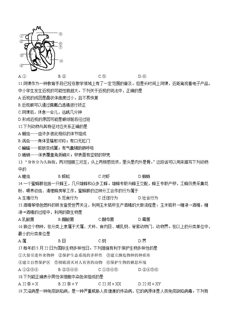 2022年吉林省长春市汽车经济开发区中考一模生物试题(word版含答案)第2页