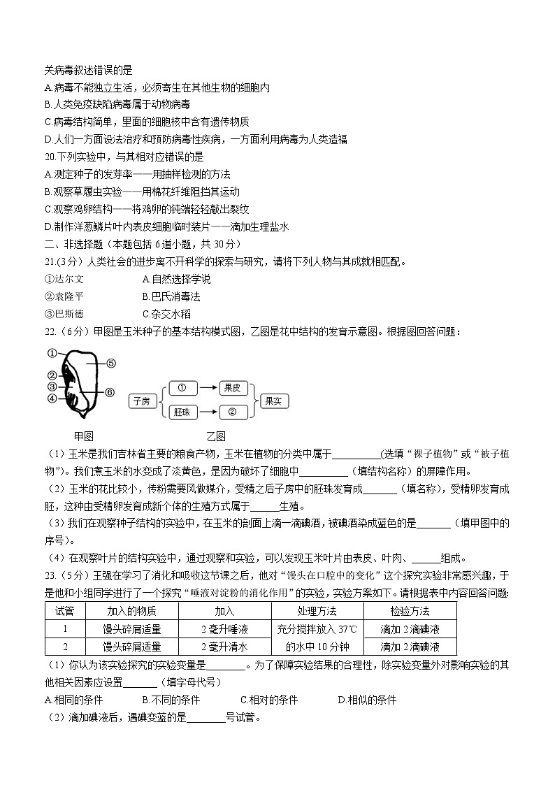 2022年吉林省长春市汽车经济开发区中考一模生物试题(word版含答案)第3页