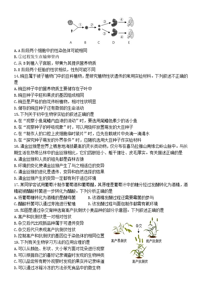 2022年山东省潍坊市初中学业水平考试第二模块复习自测生物试题（含答案）03