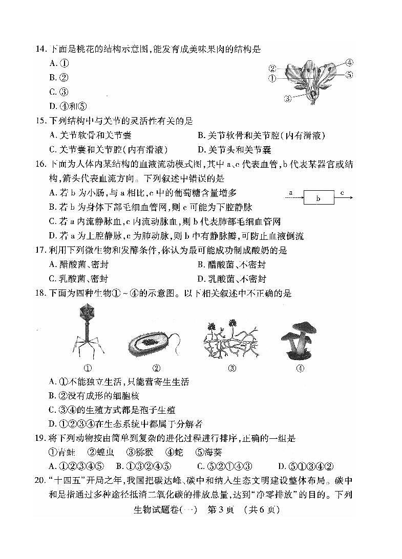 2022年江西省萍乡市九年级初中学业水平考试适应性（一）生物试题第3页