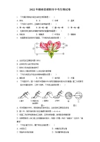 2022年湖南省邵阳市中考生物试卷(含答案解析）