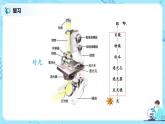 2.1.2《植物细胞》（第一课时）（课件+教案+练习）